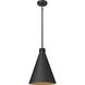 Axston 1 Light 12 inch Textured Black Outdoor Hanging Lantern